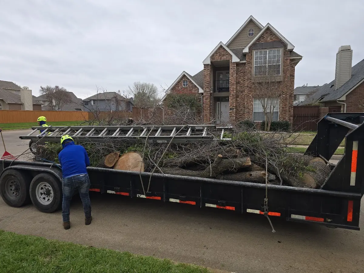 Expert Tree Removal with proper safety equipment in Morganton
